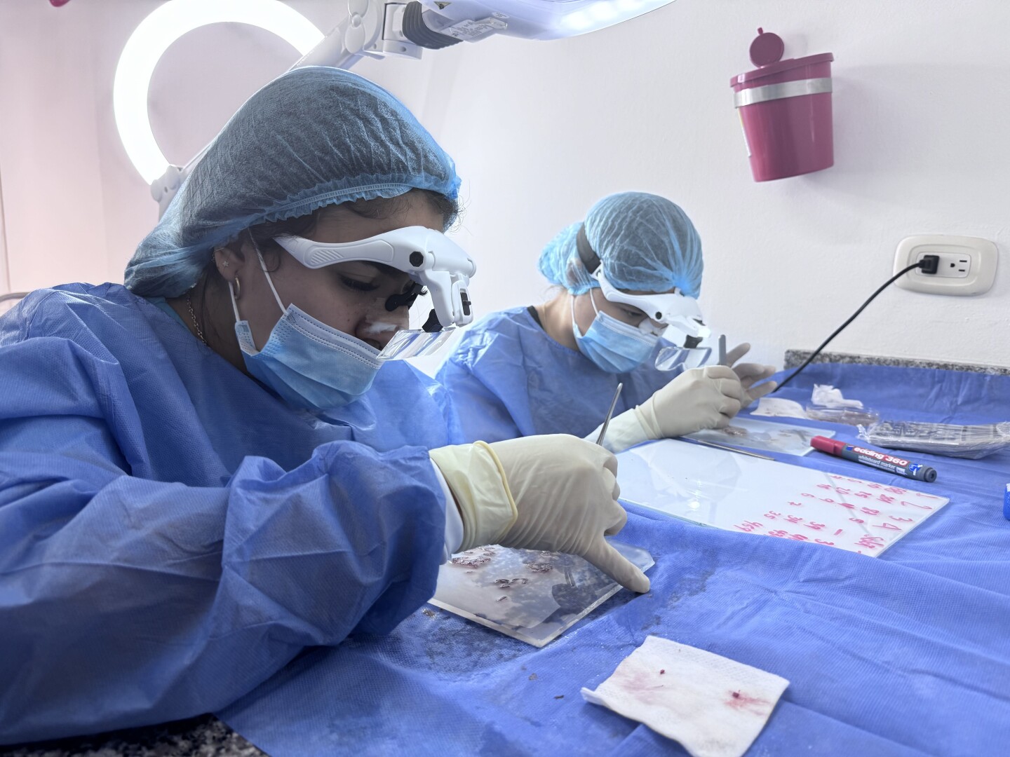 Curso Universitario Microimplante Capilar