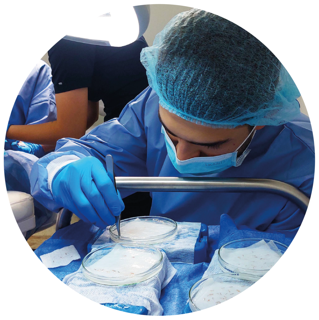 Curso Universitario de Microimplante Capilar